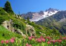 Vista dos Alpes de Saboia, Europa