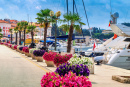 Bela Promenade em Poreč, Ístria, Croácia