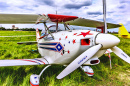 Biplano Esportivo Acrobático Aviat Eagle