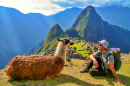 Turista e Lhama, Machu Picchu, Peru
