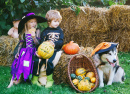 Festa de Jardim de Halloween