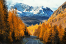 Vista da Taiga de Outono, República de Altai, Rússia