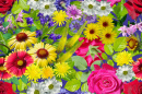 Padrão Floral Sem Costuras