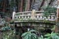 Ponte do Templo Naritasan Shinsho-ji, Japão