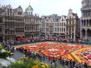 Carpete de Flores, Bruxelas