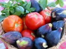 Pomidori, Fichi, Cipolle e Basilico
