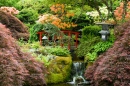 Jardim Japonês